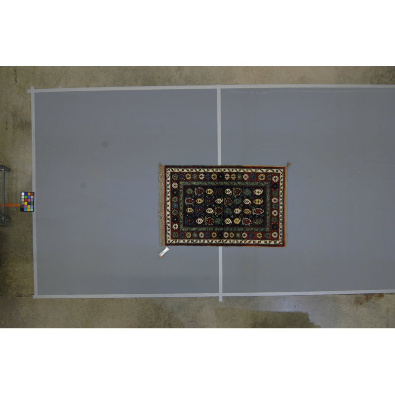 Seychour Wool Oriental Area Rug in Green/Red
