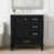 Black/Brushed Nickel selected