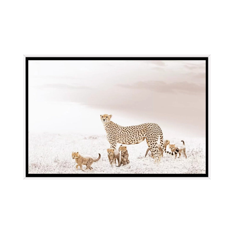 White Cheetah & Cubs by Klaus Tiedge - Print on Canvas, White Framed, 101.6 cm H x 66.04 cm W