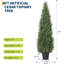 Plant-273084742