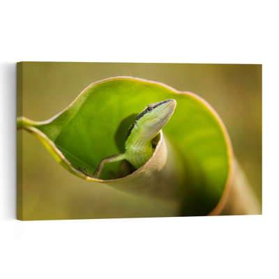 Curious Green Lizard Abstract Lizard Landscape Nature Wall Art Print 1 Piece Wrapped Canvas Wall Art