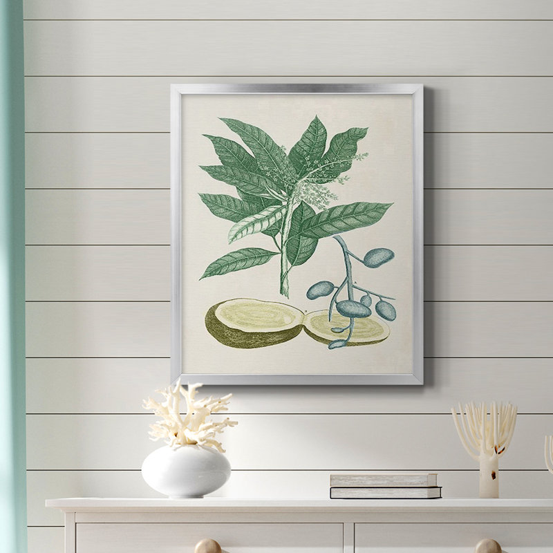 Toile encadrée de qualité supérieure Buchoz Tropicals IV - prête à être accrochée, H 24 po x l 20 po