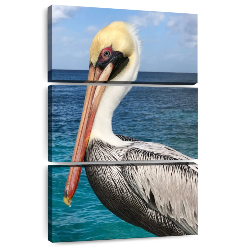 Brampt Pelican Profile, 32" H x 20" W