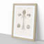Human Brain Illustration by Charles d'Orbigny - Picture Frame Drawing Print-55578940-55578938