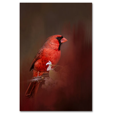 Vidur 'Cardinal in Antique Red' Graphic Art Print on Wrapped Canvas