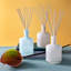 Star Magnolia Reed Diffuser