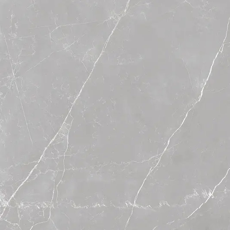 Regalia 24x24 in. Ash Gray Matte Color Body Porcelain Marble-look Vein Large Wall and Floor Tile (15.5 sq ft/case, 4-Pack)