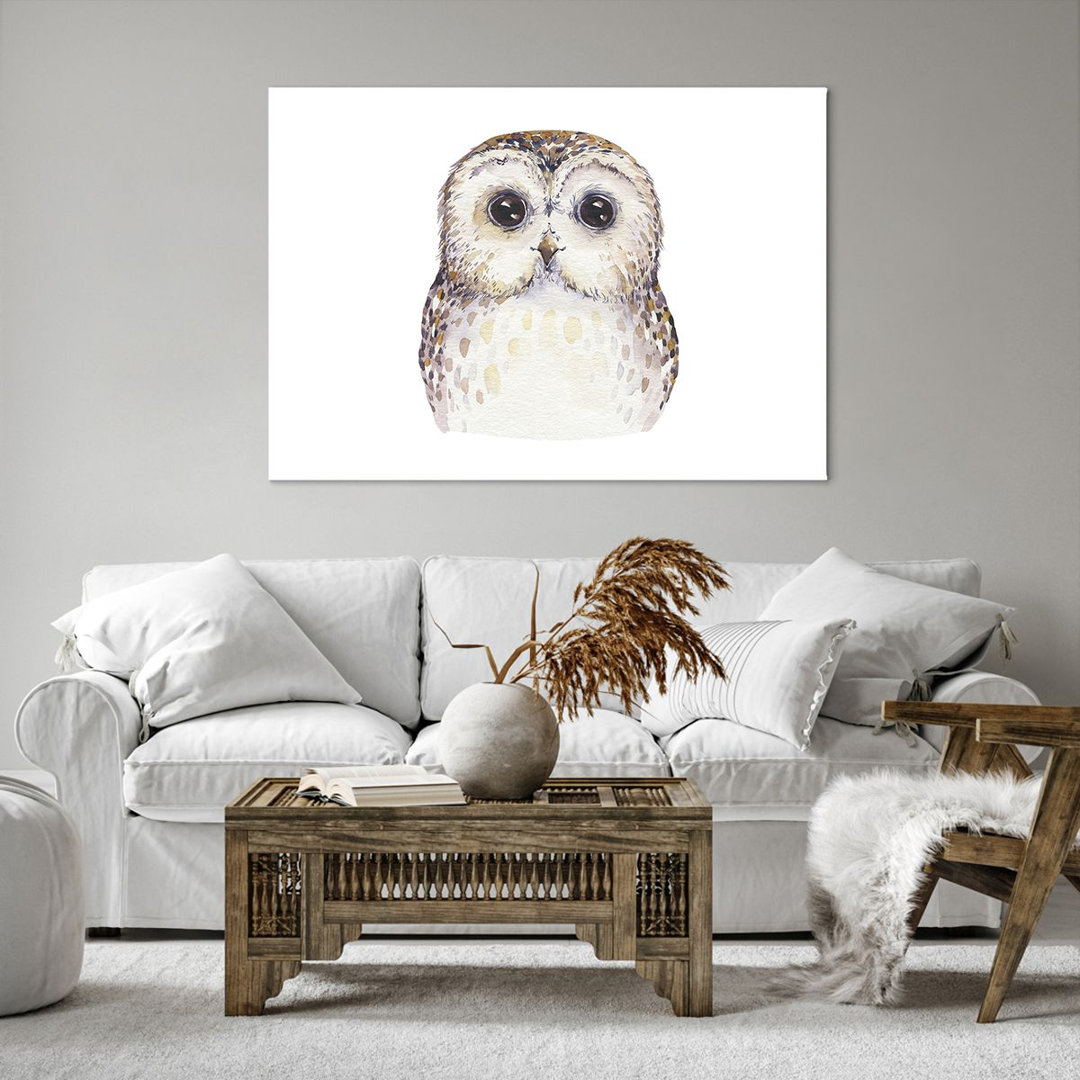 Leinwandbild Owl Tawny Owl