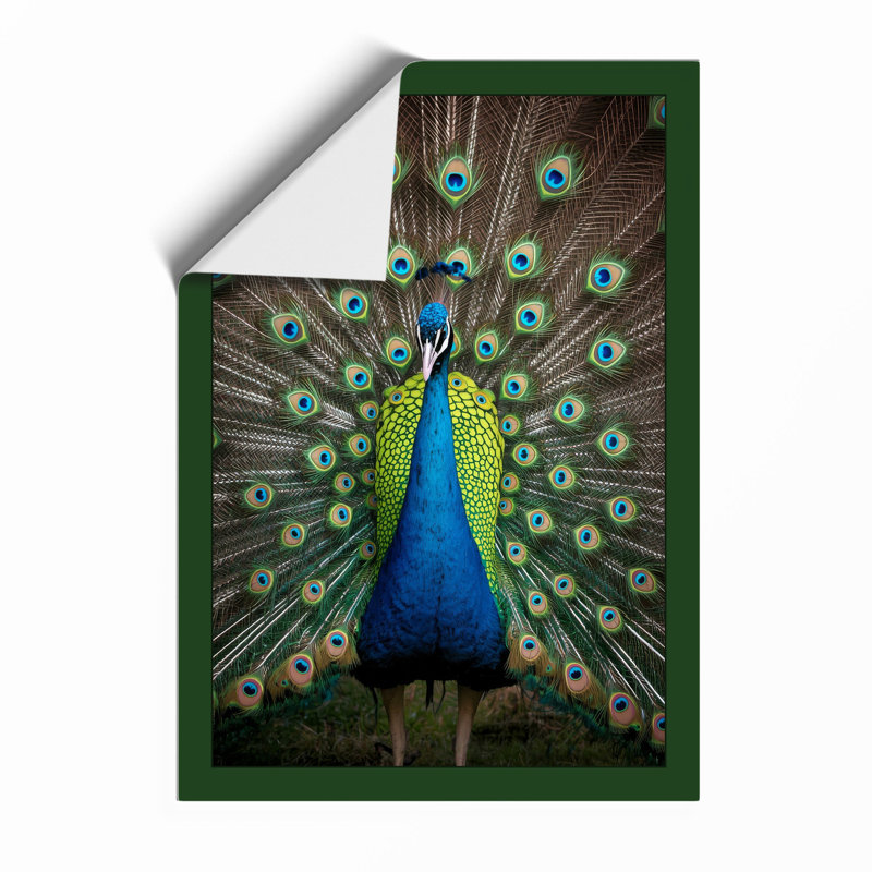 Peacock in Display Tropical - Framed Print, A3 - 42.0 x 29.7 cm, Unframed