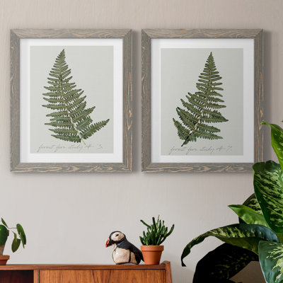 " Fern Studies I " 2 Piece Art Watercolor Print