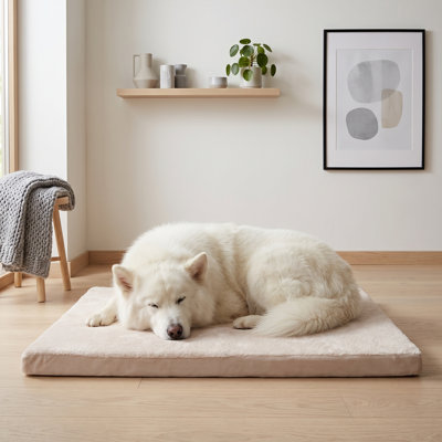 Lit pour chien Pawsy