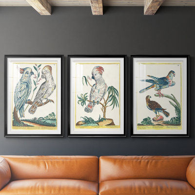 Oiseaux pastel I - impression encadrée de qualité supérieure sur mesure mat - 3 pièces