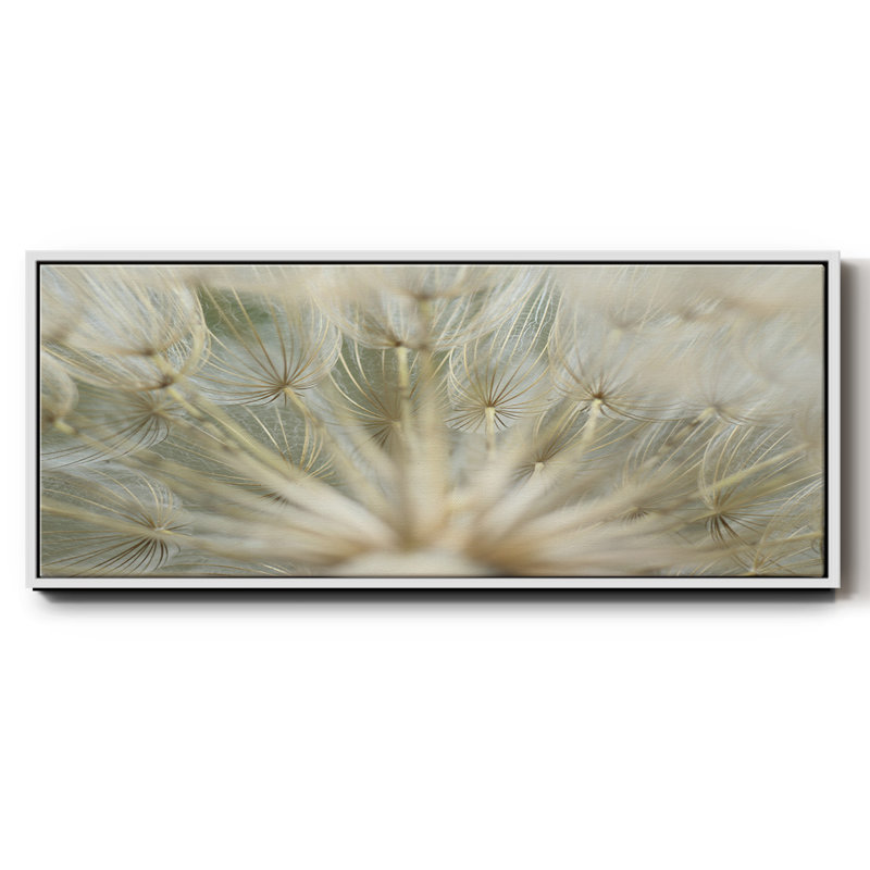 Macro Dandelion IV - toile encadrée, H 8 po x l 20 po