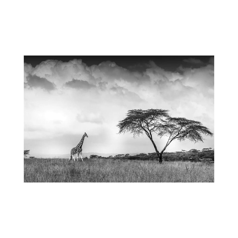 And I Dreamed Of Africa by Jeffrey C. Sink - Wrapped Canvas Print, 45.72cm H x 66.04cm W x 1.91cm D