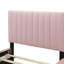 Lit plateforme simple tapissier en velours avec lit gigogne-443789652