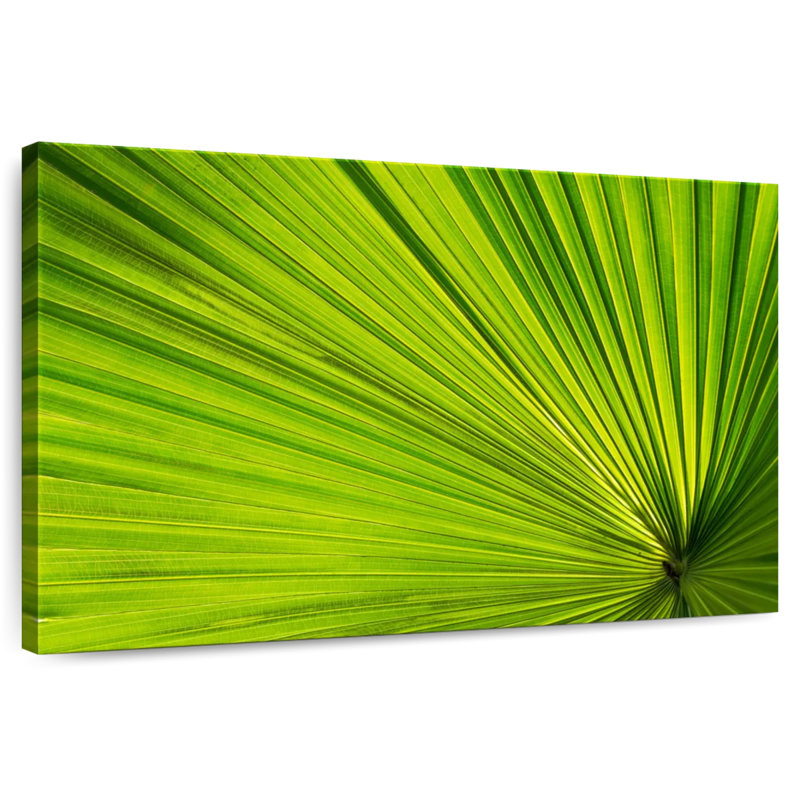 Harnek Fan Palm Leaf, 8" H x 12" W