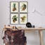  Pinecone, Études latines, ensemble de 4 giclées par Tina Higgins Designs, Inc.-1193591850-1193591861