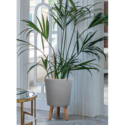 Adelinde Ceramic Pot Planter