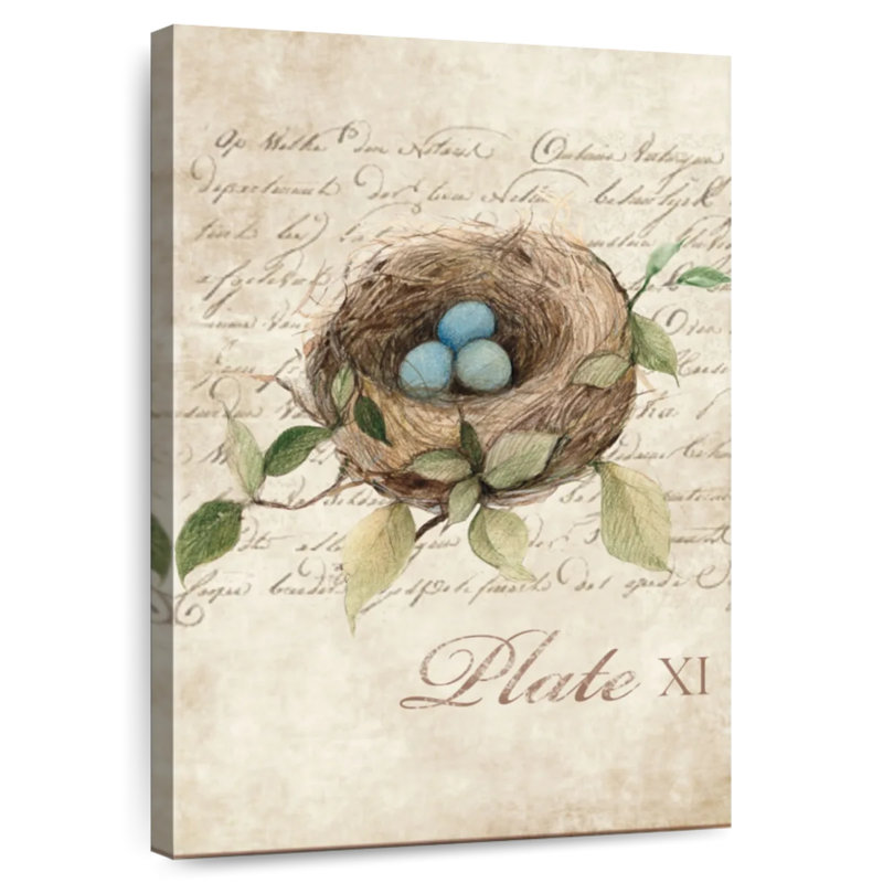 Brampt Bird Nest Study, 24" H x 16" W