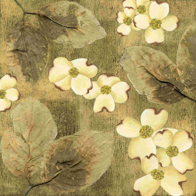 SunKissed Dogwoods I