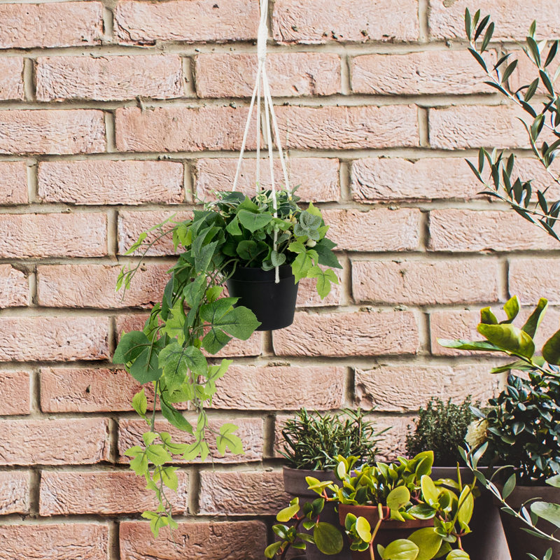 Faux plantes artificielles en pot avec corde suspendue