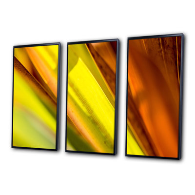" Unknown " 3 - Pieces