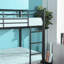 Henn Bunk Bed
