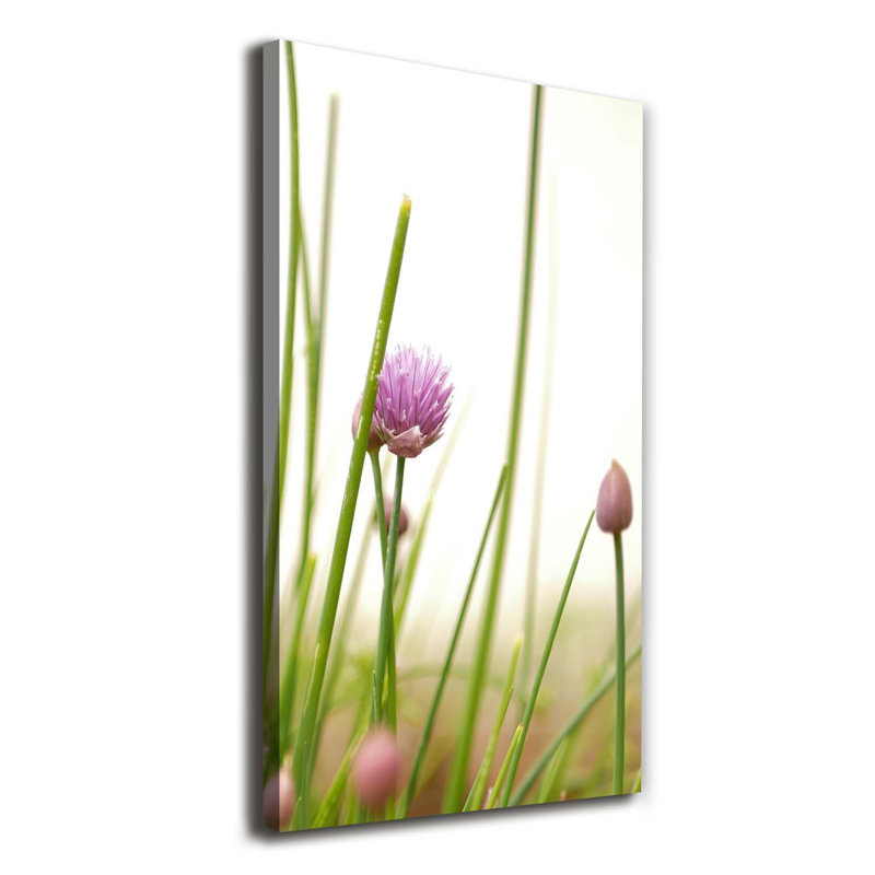 Flower Of Chives - Wrapped Canvas Print, 140cm H x 70cm W