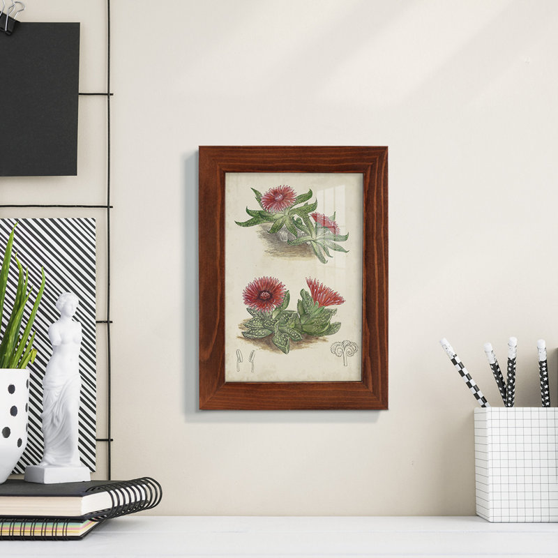 Cactus antique V encadré sur papier, H 7 po x l 5 po x P 1 po, Châtaigne