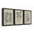 " Antique Black And White Botanical VII " 3 - Pieces-408394297-408395205