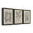 " Antique Black And White Botanical VII " 3 - Pieces-408395205-408395206