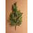  Artificial Cedar Spray for Home Decor – Faux Greenery Stem for Vase and Holiday Styling, 27" (Set of 6)