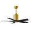 Patricia LED Downrod Ceiling Fan-486079861-439919628