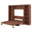 Lit escamotable double avec bureau, cadre de lit mural pliable en bois avec tablettes de bibliothèque, armoire de lit murale cachée pour adulte-307857534