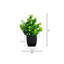 7 po Ensemble de 4 plantes vertes artificielles en pot carré noir