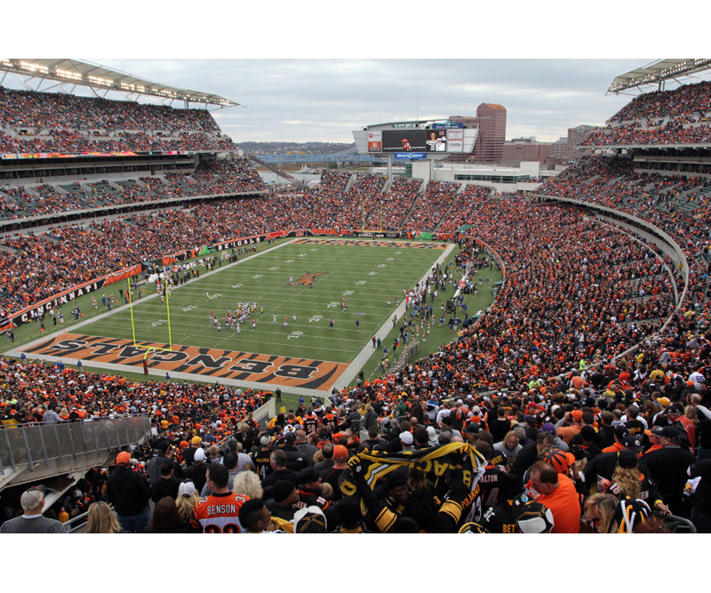 Paul Brown Stadium, 16" H x 24" W