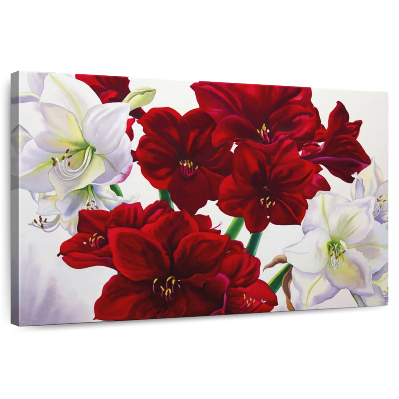 Harnek Red And White Amaryllis