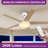 52" 5 - Blade Ceiling Fan With Light & Remote Control-219099419-219099396