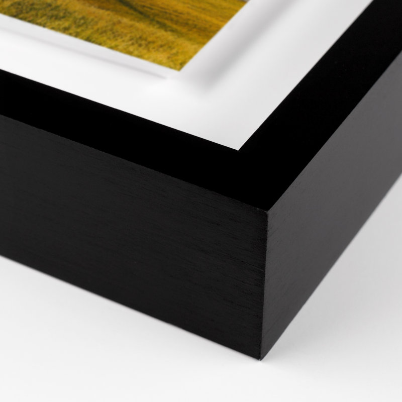 Where The Buffalo Roam Print by Wesley And Emma Teague, 30" H x 40" W x 2.5" D, Black Framed