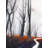 Mysterious Forest With Stream Print On Canvas
