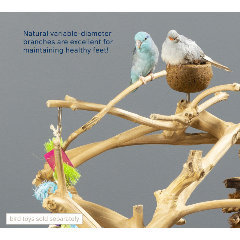 Small Natural Coffeawood Bird Play Stand with Food Cup