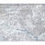 Area Rug in Beige/White/Gray-461073123
