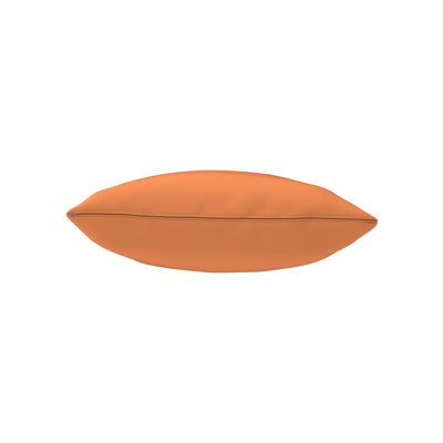 Gabi Sunbrella® Indoor/Outdoor Throw Pillow