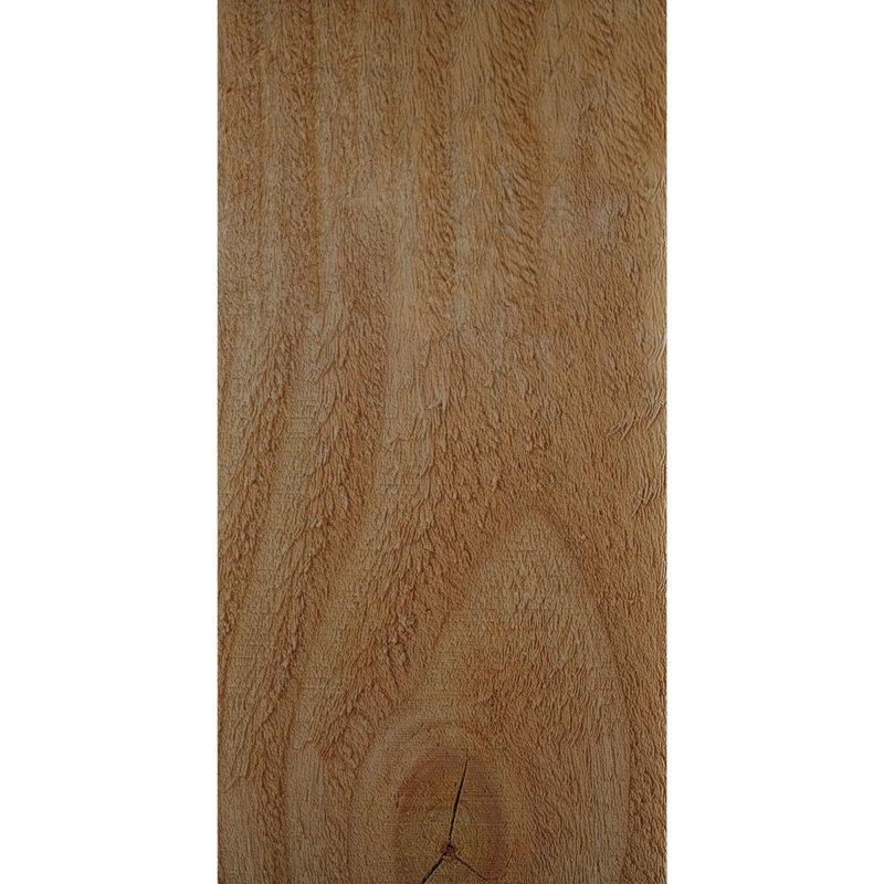 Yorktown, Sapin de Douglas, 10"H x 4"W x 12"L