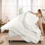 Ensemble de draps 100% coton percale-110561911-60569063