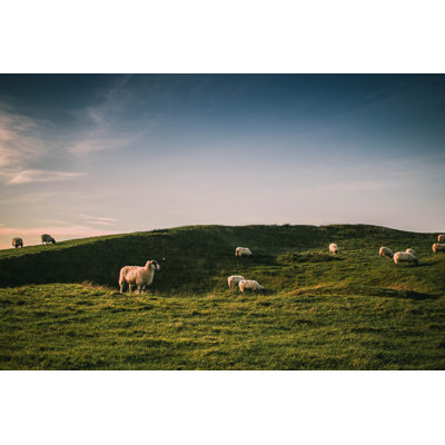 Chanera Sheep grazing 1 Piece Wrapped Canvas Wall Art