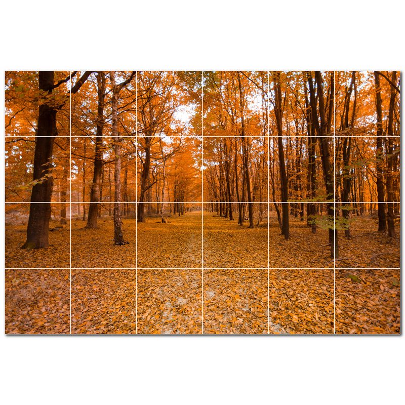 Photo d'automne 8 x 8