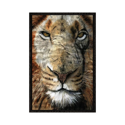 Lion Scars by Rachel Parker - Painting on Canvas
