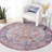 Serapi Performance Machine Washable Oriental Rug-804278213