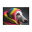 No Frame Print on Canvas-429593491